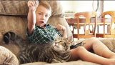 Interview mit Familie Kind durch seine Katze gerettet