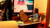 Cat and baby watch tv