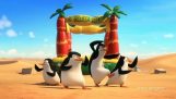挑逗: 馬達加斯加的企鵝