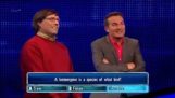 A scientist on a game show