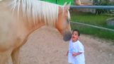 一匹马会见一个特别的孩子
