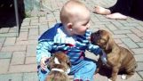 Two puppies and a baby