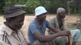 Agricultores en las plantaciones de cacao, primera experiencia de chocolate