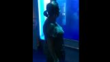 Mulher de ataques de tubarão de aquário AquaWorld