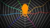 Spiders “winding” the Web as guitar
