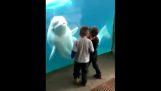어린 아이 놀라게 할 좋아하는 고래