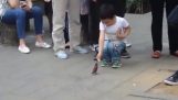 Обученные птицы собирают деньги на улице