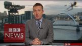 ‘Giant’ spider photobombs BBC Scotland news – BBC News