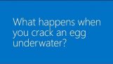 What happens if I break an egg into the sea;