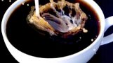 Effekten av kaffe på hjernen vår