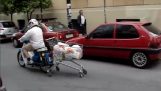 Come trasporterà il supermercato shopping con moto;