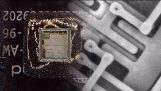 Zoymarontas på en microchip