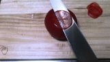 Sashimi nôž vs. paradajky