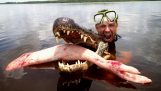  Epica Alligator attacco scherzo 