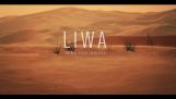 Mapy Google najal velbloud udělat fotky Arábie