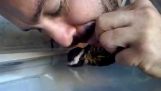 He saved the life of a bird with artificial respiration