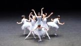 Ballett ohne Synchronisierung