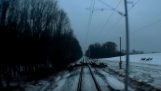 Herd of deer on a train