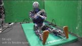 Humanoid robot