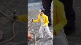 Σόου από μια μαριονέτα Freddie Mercury