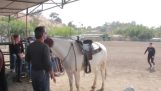 Con un poco de ayuda del caballo