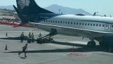 Un chien sur la piste d'un aéroport