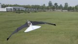 A remote controlled ornithopter