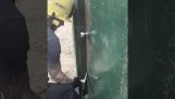 Training on opening a stuck door