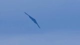 Un bombardero B-2 Stealth en Miami Beach