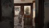 Huge wave breaks the doors of a restaurant