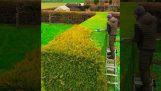 Giardinaggio in timelapse