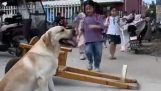 Special transport for a small girl in China