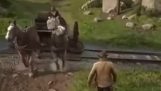 Red Dead Redemption 2, rendezte Michael Bay