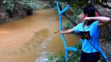 Una ragazza costruisce arco di tubi in plastica e dei pesci