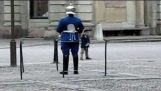 A small boy parading in front of the Royal Guard