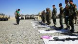 Afegãos do exército grego