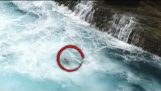 Drone Fångar Rescue Dog sopas bort Cliffs, Kastar sig in Rough Waters