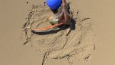 Realistisk 3D scene: blæksprutte leger med bold