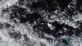 Obrie ľadová disk v rieke (Westbrook, Spojené štáty americké)