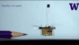 Ensimmäinen langaton lentävät robotti hyönteinen riisuu