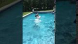 Un câine crede că stăpânul său se îneacă