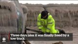 Coche congeladora liberada por un camión de remolque