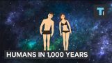 O que os seres humanos será semelhante em 1,000 anos