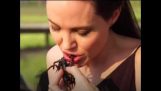 Angelina Jolie cooks and eats insects and spiders with her children