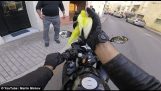 Motorradfahrer rettet fliegenden Vogel auf Fahrrad