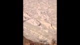 Weird naturfænomen i Saudi-Arabien Empty Quarter ørken