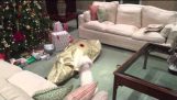Hond Unwraps eigenaar voor Kerstmis