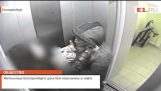 Um residente de Ekaterinburg deu estuprador de batalha no elevador