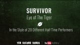 Survivor – Tiikerin silmä | Kymmenen sekunnin Kappaleiden 20 Style Cover
