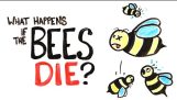 如果所有的蜜蜂都死了，會發生什麼?